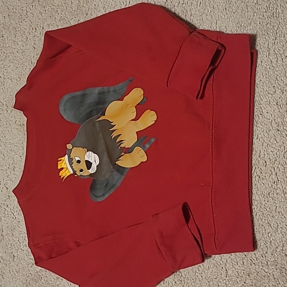 Rudolph sweatshirt 4T